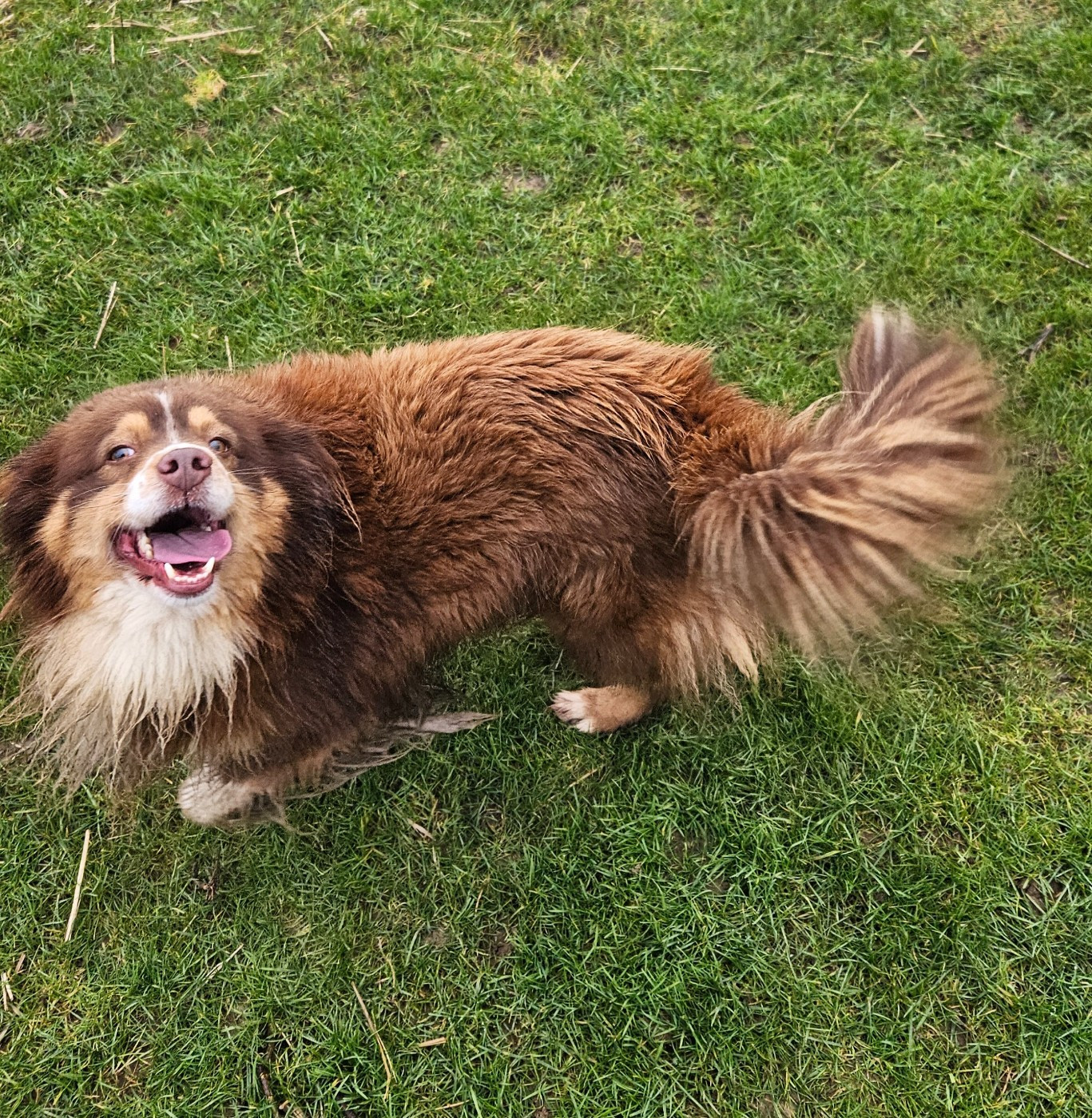 Shun De La Bernaquiere